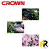 SECATEUR 20V BRUSHLESS CROWN | CT29001HX-2 BMC مقص أفرع شجر بالبطارية